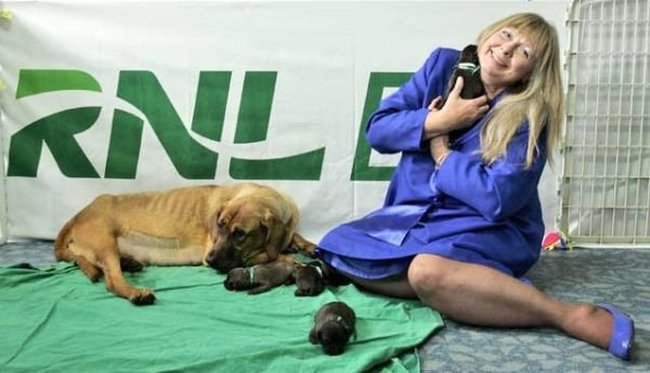 В Южной Корее клонировали собаку (15 фото)