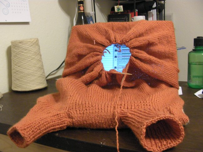 Реальный светер для бука  (16 фото)