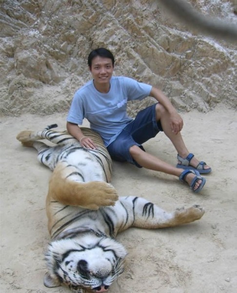 тайланд, тигр