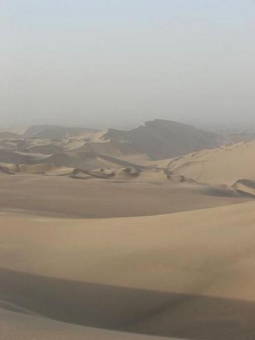 Райский уголок в пустыне (16 фото)
