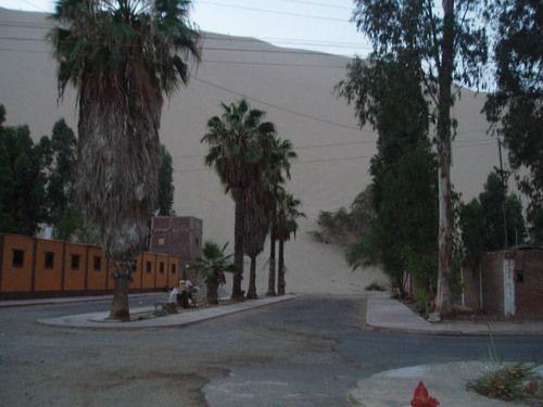 Райский уголок в пустыне (16 фото)