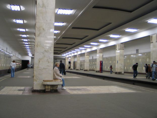 «Поезд-акварель» в Московском метро (17 фото)